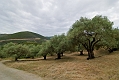 092_Kreta_w drodze do Paleohory